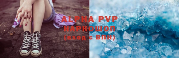 гидра Алексин