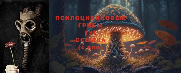 таблы Алексеевка